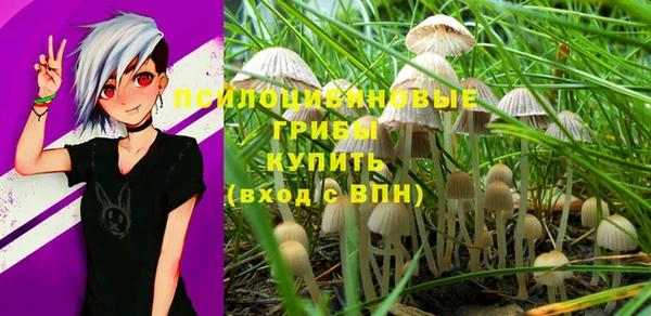 мяу мяу мука Абаза